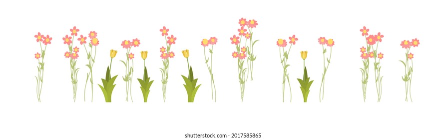 Set isolated. Meadow with wildflowers. Grass close-up. Wild green rural plants. Cartoon style. Flat design. Countryside view. Flowers. Vector illustration. art