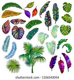 Set of isolated multi colored tropical leaves. Combination of different image styles. Vector illustration.