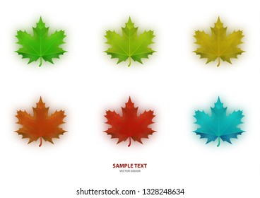 Set of isolated multi-colored maple leaves on a white background. Vector illustration