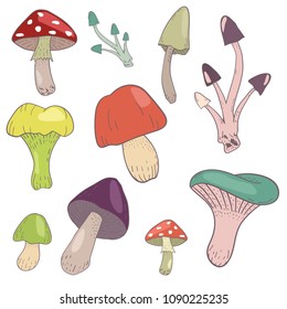 Set of isolated mushrooms on white background. Forest theme, hand drawn, bright colots. Great for decoration, using in botanical articles or cards.