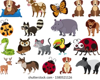 Set of isolated objects theme wild animals illustration