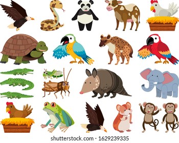 Set of isolated objects theme wild animals illustration