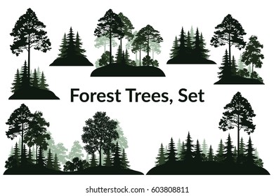 Set Isolated on White Background Landscapes, Green Coniferous and Deciduous Trees and Bushes Silhouettes, Fir, Pine, Maple, Acacia, Lilac. Vector