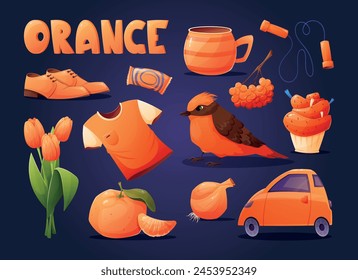 A set of isolated orange elements for children to study colors. Children's book or textbook for preschoolers. Collection of vector cartoon elements.