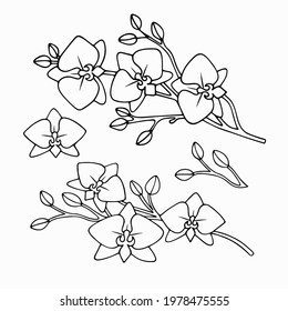 Set of isolated orchid branch. Spring wildflower. Vector illustration of tropic flower isolated on white background.