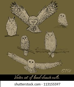 Set of isolated owls. Vector illustration EPS8