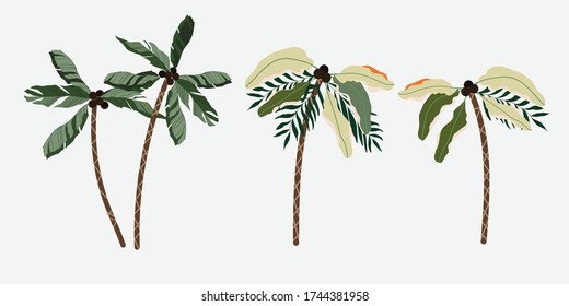 Set of isolated palm trees. Hand-drawn vector palm trees isolated from a background. Trendy illustration for web, logo and print design. Tropical forest elements.