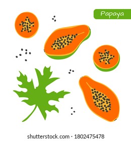 Conjunto aislado de papaya troceada de fruta y hoja. Logo de la comida naranja. en un estilo plano moderno. Papaín trópico lindo. Ilustración del vector