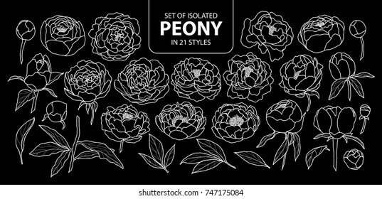 Set of isolated peony in 21 styles. Cute hand drawn flower vector illustration only white outline on black background.