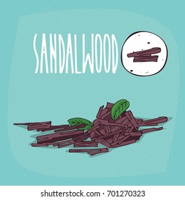 Set of isolated plant Sandalwood sticks herb with leaves, chips, billets, Simple round icon of Sandal on white background, Lettering inscription Sandalwood. Vector illustration