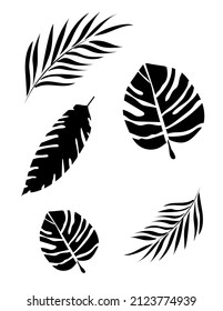 Set of isolated plants. Tree leaf stencils. Flat black and white illustration.