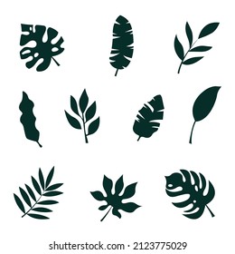 Set von isolierten Pflanzen. Baumschablonen. Flache Schwarz-Weiß-Illustration.