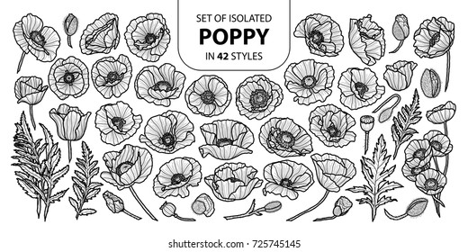 Set of isolated poppy in 42 styles. Cute hand drawn vector illustration in black outline and white plane on white background.