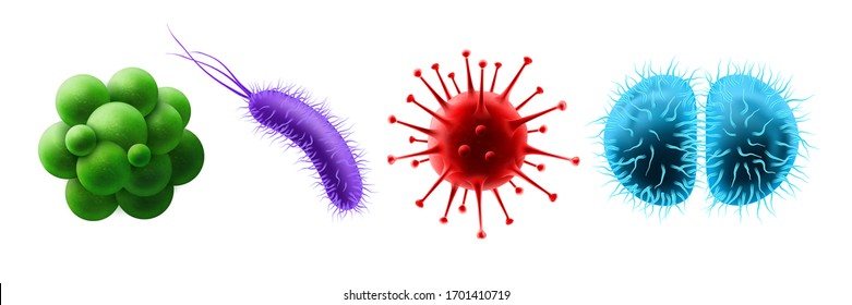 Set of isolated probiotic bacteria and virus, germ and microbe, microorganism. Realistic gonococcus and coronavirus, staphylococci or cocci, bacillus cell. Microbiome organism. Disease, ill, pathogen