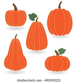 Set of isolated pumpkins. Autumn orange pumpkins on the white background. Vector illustration