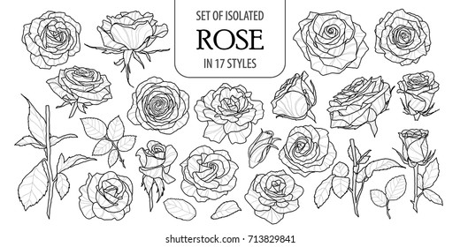 Set of isolated rose in 17 styles. Cute flower illustration in hand drawn style. Presented in black outline and white plane on white background.