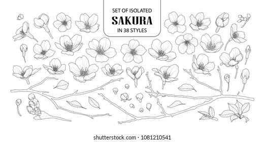 Set of isolated sakura in 38 styles. Cute hand drawn flower vector illustration in black outline and white plane on white background.