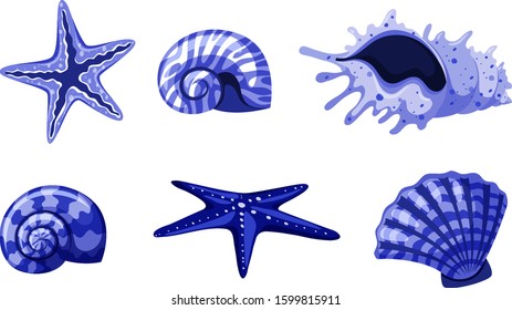 Set of isolated seashells in blue color illustration
