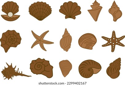 Set of isolated seashells in brown color