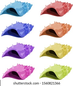 Set of isolated set of seashells in different colors illustration