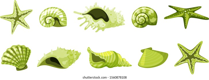 Set of isolated seashells in green color illustration