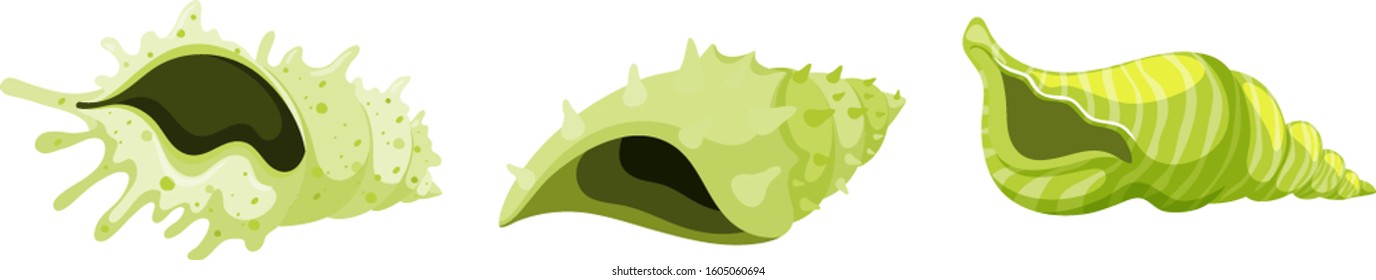 Set of isolated seashells in green color illustration