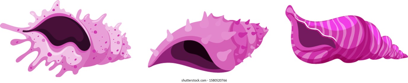 Set of isolated seashells in pink color illustration