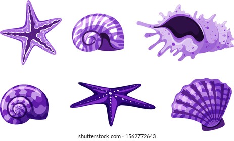 Set of isolated seashells in purple colors illustration