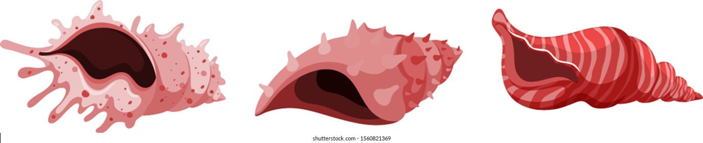 Conjunto de conchas aisladas en la ilustración de color rojo
