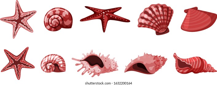 Set of isolated seashells in red color illustration