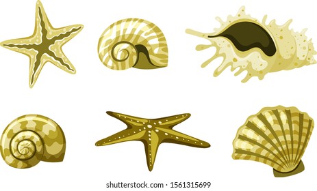 Set of isolated seashells in yellow color illustration