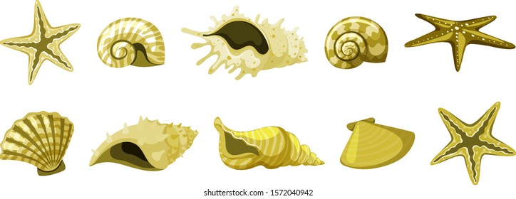 Set of isolated seashells in yellow color illustration