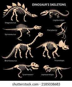 Set with isolated side view images of dinosaur skeleton on black background with editable text captions vector illustration