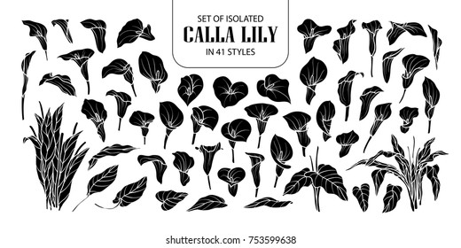 Set of isolated silhouette Calla lily in 41 styles. Cute hand drawn flower vector illustration in white outline and black plane on black background.