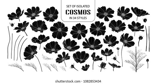 Set of isolated silhouette cosmos in 34 styles. Cute hand drawn flower vector illustration in white outline and black plane on white background.