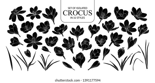 Set of isolated silhouette Crocus in 32 styles. Cute hand drawn flower vector illustration in white outline and black plane on white background.