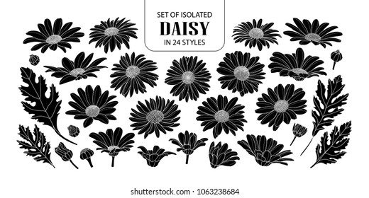 Set of isolated silhouette daisy in 24 styles. Cute hand drawn flower vector illustration in white outline and black plane on white background.