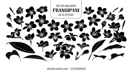 Set of isolated silhouette frangipani in 35 styles. Cute hand drawn flower vector illustration in white outline and black plane on white background.