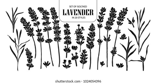 Set of isolated silhouette lavender in 20 styles. Cute hand drawn flower vector illustration in white outline and black plane on black background.