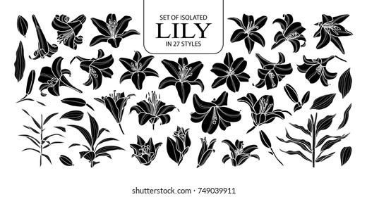 Set of isolated silhouette lily in 27 styles. Cute hand drawn flower vector illustration in white outline and black plane on black background.