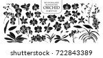 Set of isolated silhouette orchid in 40 styles. Cute hand drawn vector illustration in white outline and black plane on white background.