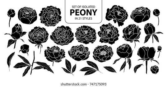 Set of isolated silhouette peony in 21 styles. Cute hand drawn flower vector illustration in white outline and black plane on black background.