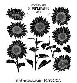 Set of isolated silhouette sunflower set 2. Cute hand drawn vector illustration in white outline and black plane on white background.