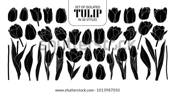 30スタイルの分離シルエットチューリップのセット 白い輪郭にかわいい手描きの花のベクターイラスト 黒い背景に黒い平面 のベクター画像素材 ロイヤリティフリー