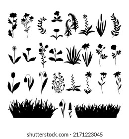 Set of isolated silhouettes of grass, plants and flowers. Vector.