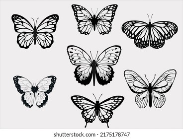 Set of isolated sketch of butterfly. Hand drawn tattoo of moth. Swallowtail and gossamer-winged, skipper and machaon, monarch insect. Fly and flight, flying animal. Botany and fauna
