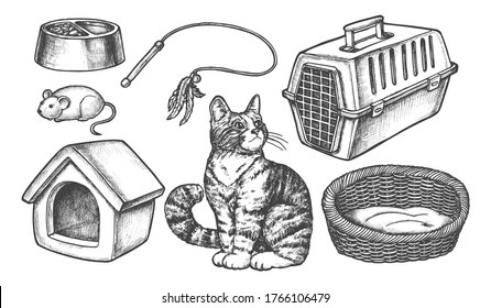 Set of isolated sketch of cat items. Kitten food bowl and mouse toy, home or house, cathouse and tray, toilet and box, feather toy and container. Domestic animal accessory or pet supplies. Sketching