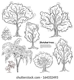 Set of isolated sketched trees