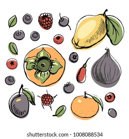 Set of isolated sketchy style fruits and berries top view/ Doodle pencil drawn fruits in color/ Hand drawn vector illustration