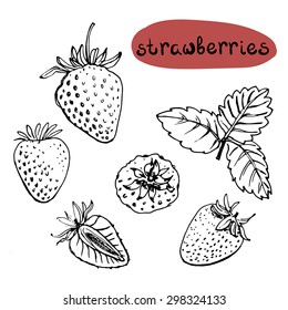 Set of isolated sketchy style fruits and berries/ Doodle fruits in black and white/ Hand drawn vector illustration